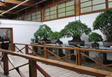 Bonsai-Museum