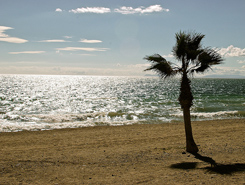 Spiagge Marbella