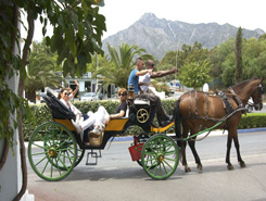How to get around Marbella